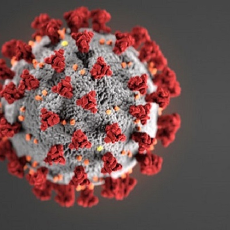 مساعد وزير الصحة المتحدث الرسمي للوزارة د. محمد العبدالعالي.