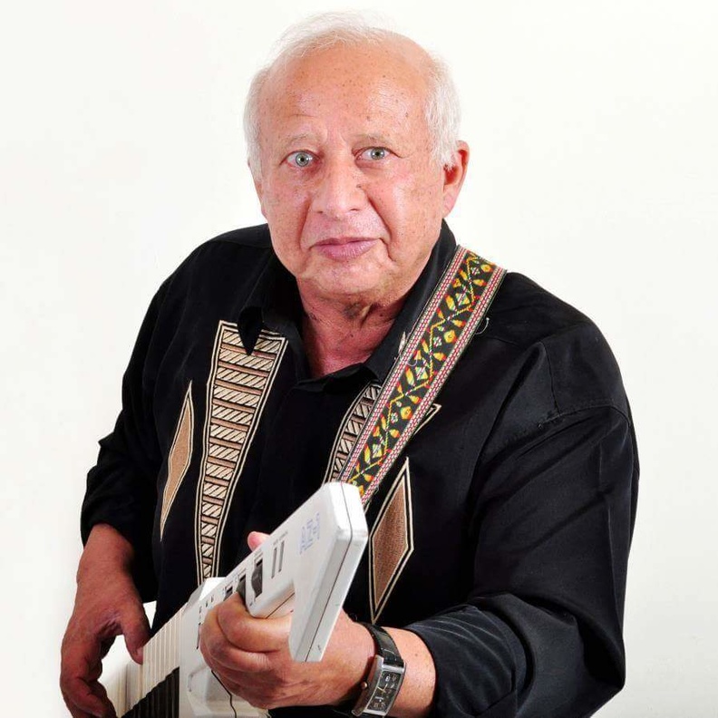 الموسيقار هاني شنودة