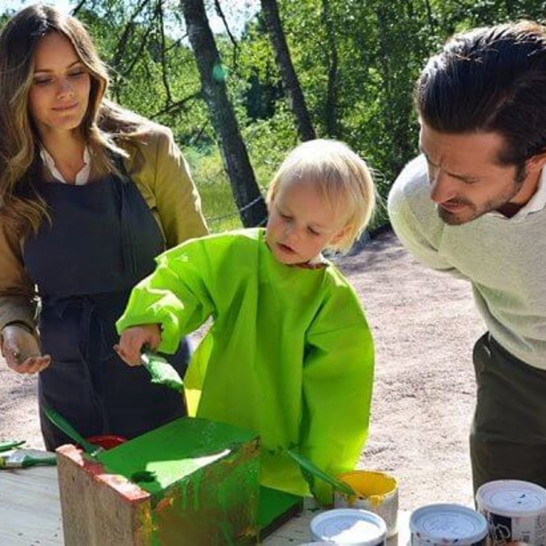 الأمير غابرييل يرسم بيتا للطيور