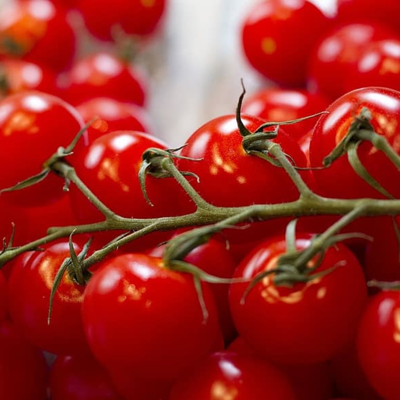 هل يعيش فيروس كورونا على سطح الخضروات والفواكه؟