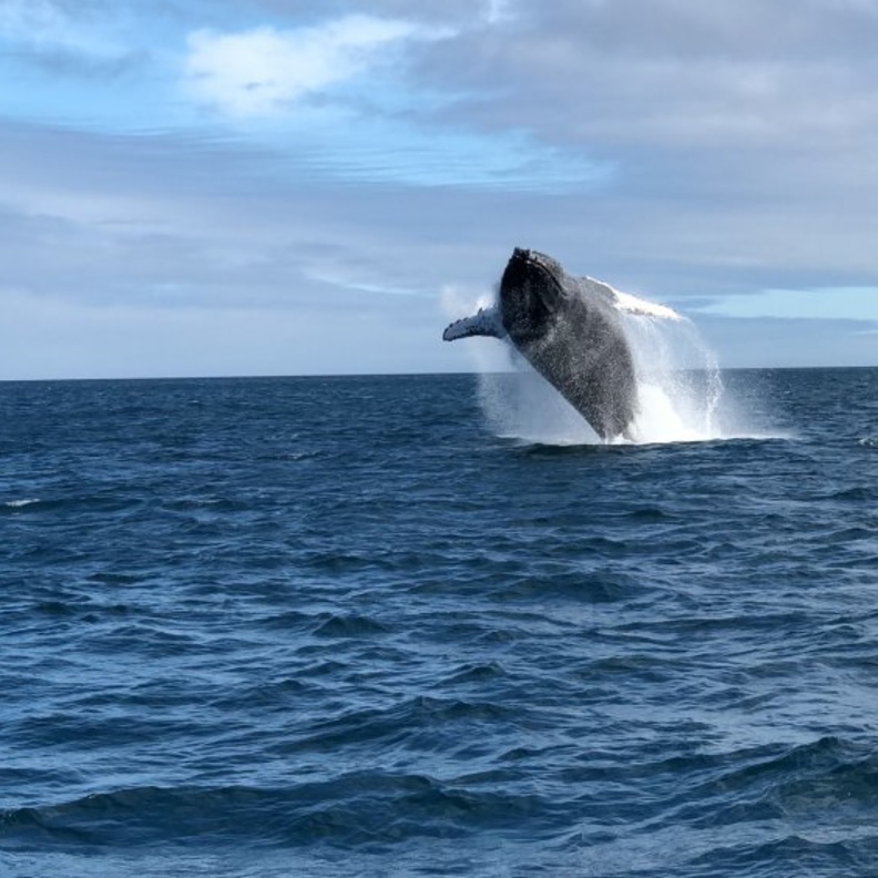 من جزر غالاباغوس - Bryan Thompson