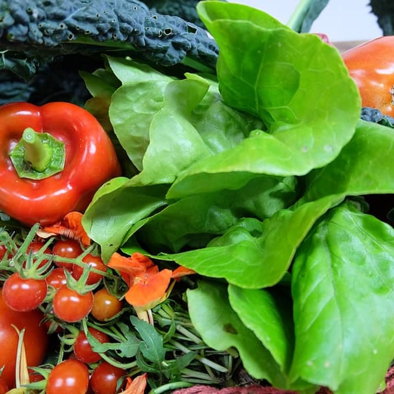 الخضروات والفواكه