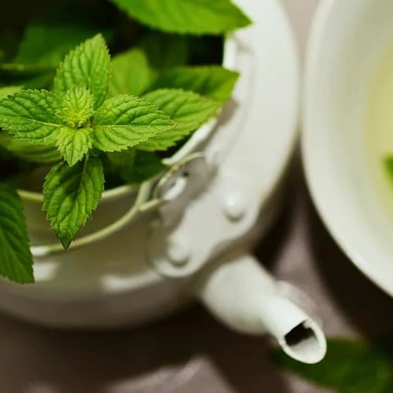 هل الأعشاب تقي أو تقضي على فيروس كورونا المستجد؟