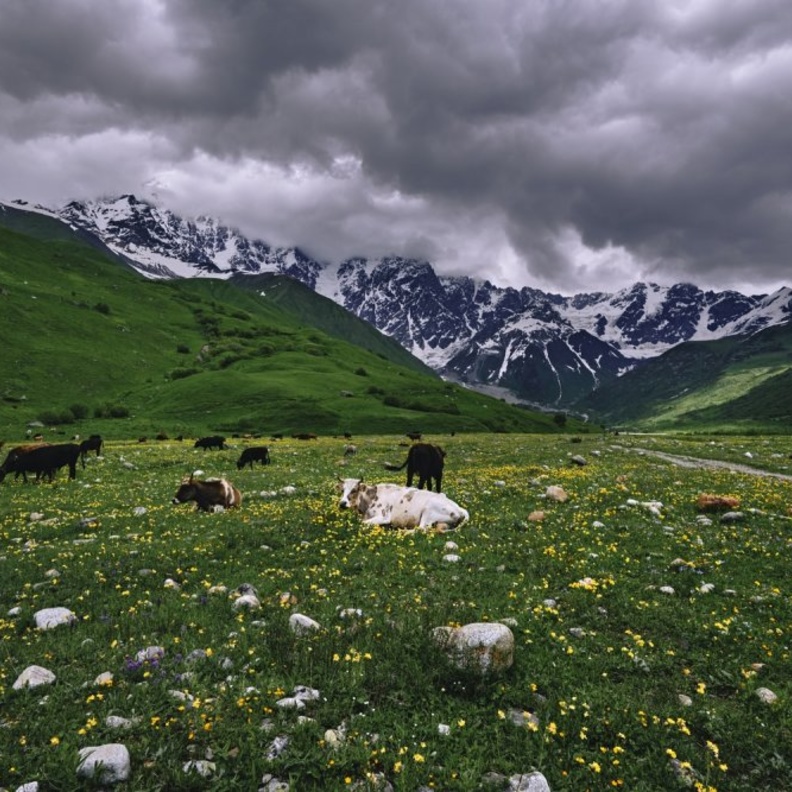 أوشغولي Ushguli-Hikersbay Hikersbay