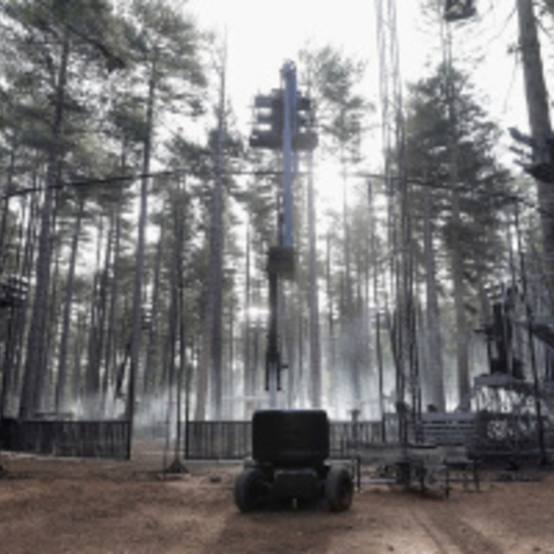 مجموعة In Bloom من Burberry