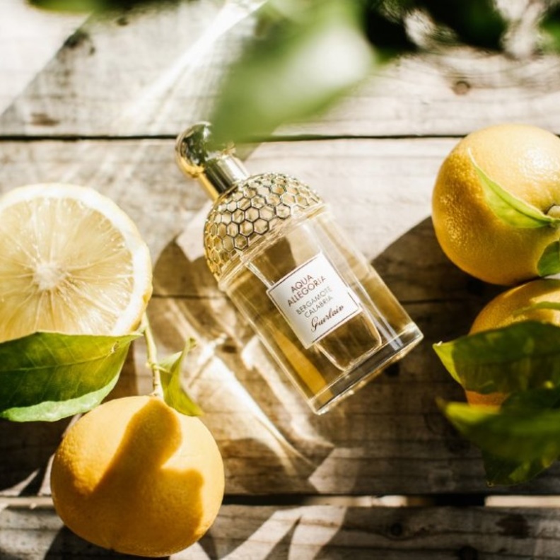 البرغموت عنصر فريد ومميزاً في عطور Guerlain