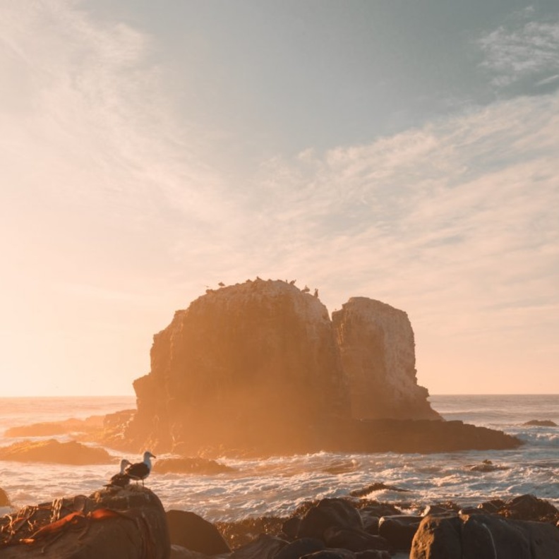  بيتشيليو من أفضل الوجهات الشاطئية في تشيلي - cristian castillo