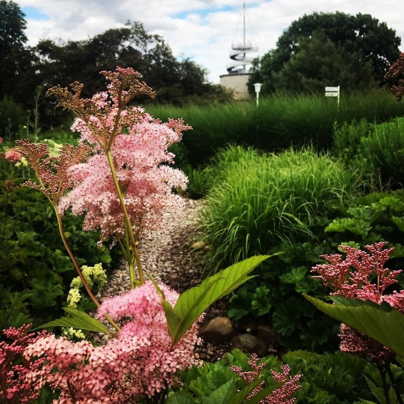 إيغابارك egapark، إرفورت-Tobias