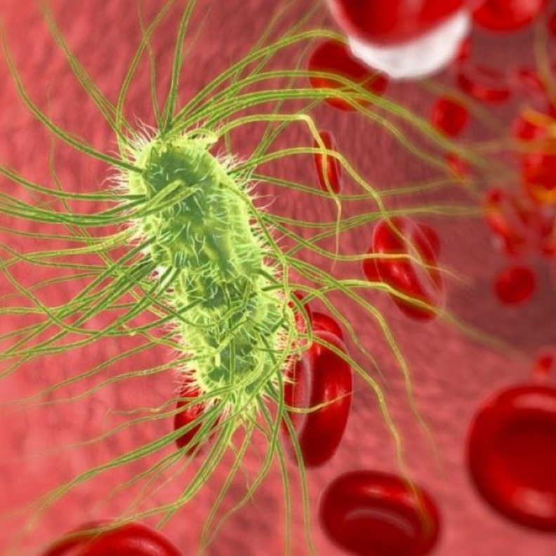 القيام بالحفاظ على نظافة وغسيل اليدين بشكل منتظم تضمن سلامتك من تسمم الدم الجرثومي