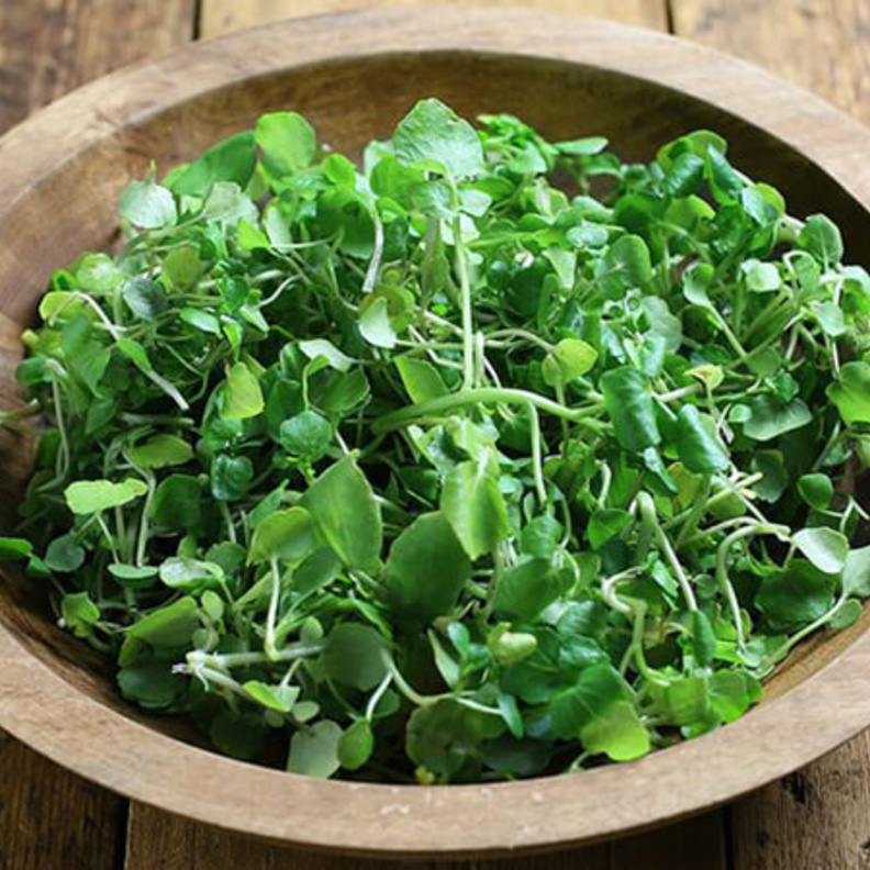 فوائد الجرجير في الوقاية من سرطان الثدي