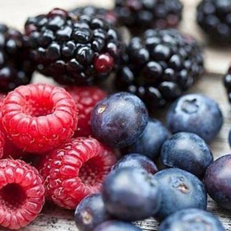 التوت البري يعتبر واحد من أفضل مضادات الأكسدة