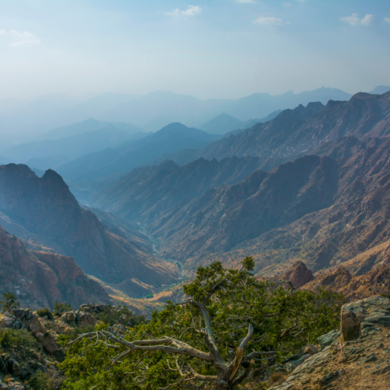 الطائف في السعودية 
