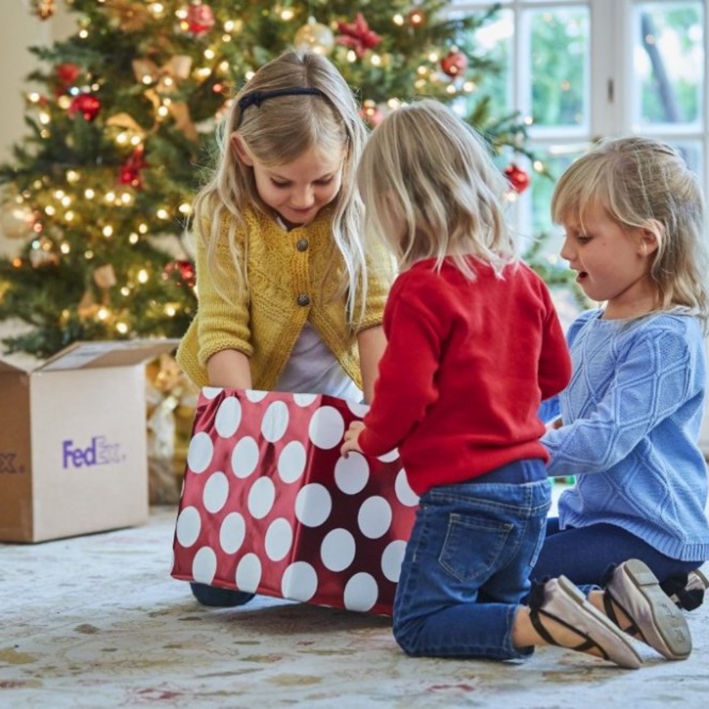  فيديكس إكسبريس