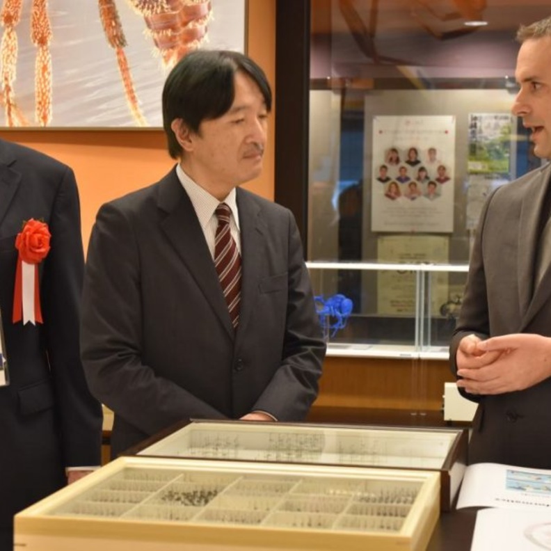 اليابان تستعد لإقامة مراسم تنصيب ولي العهد في نوفمبر القادم