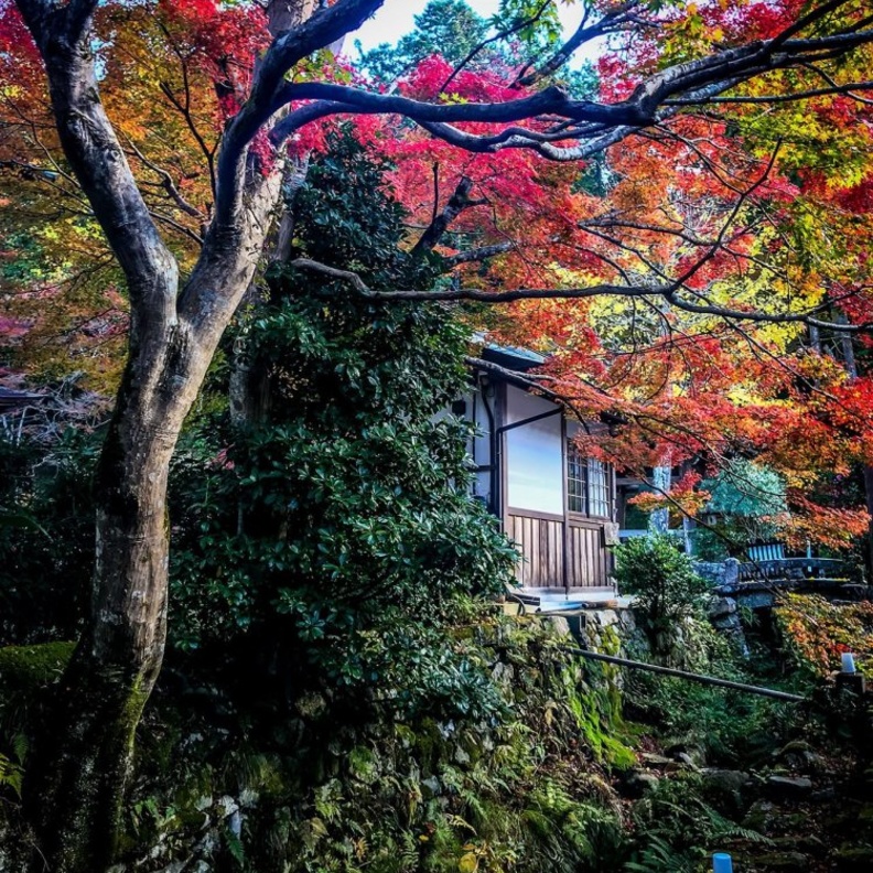 أجمل مدن الخريف