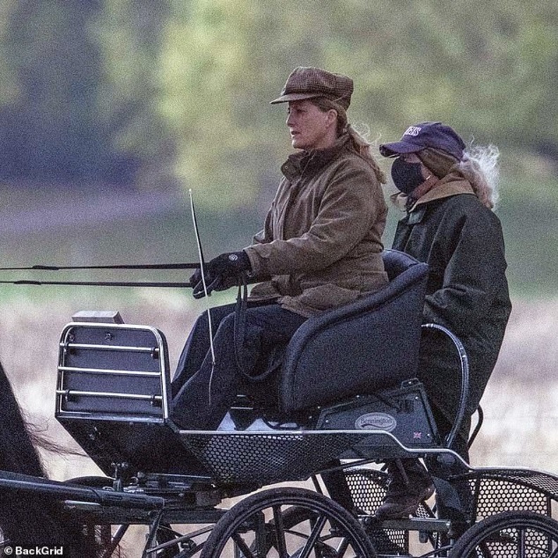 كونتيسة وسكس تقود عربة تجرها الخيول