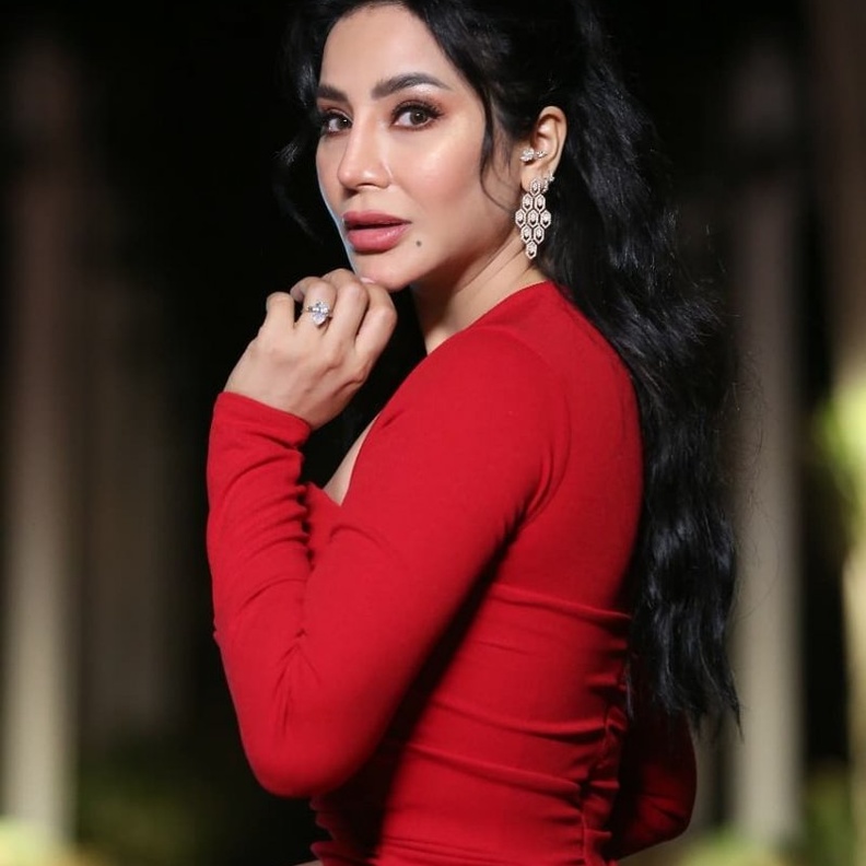  اطلالات لجين عمران الجمالية والبرونزية في مهرجان الجونة 2020