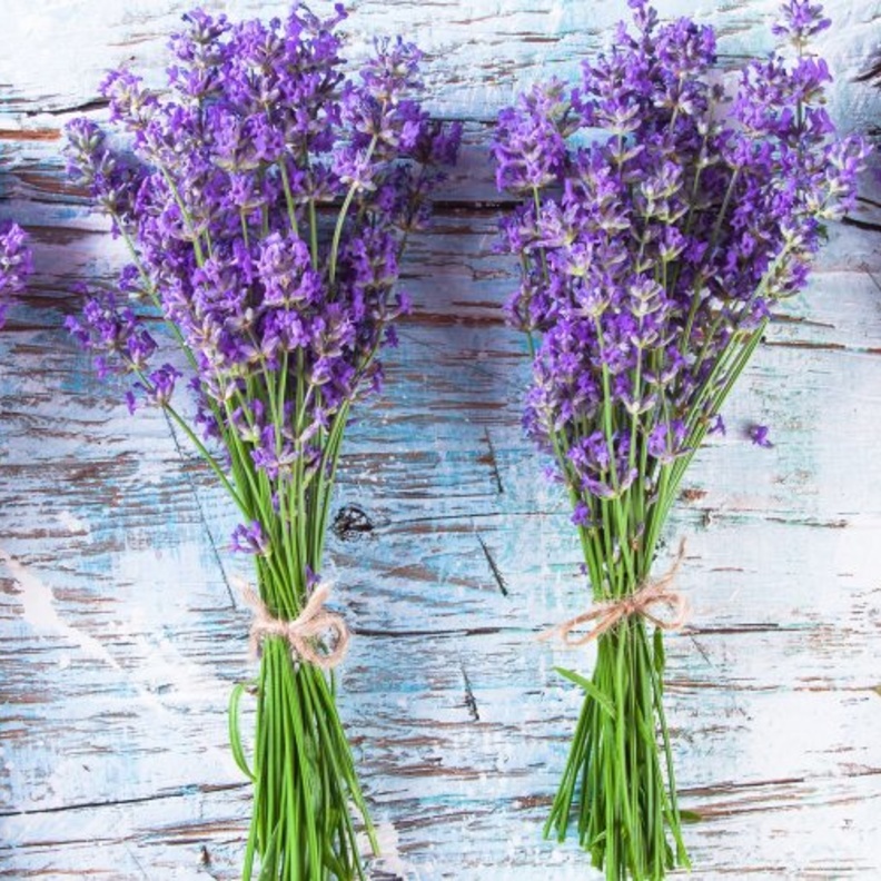 فوائد الخزامى الصحية