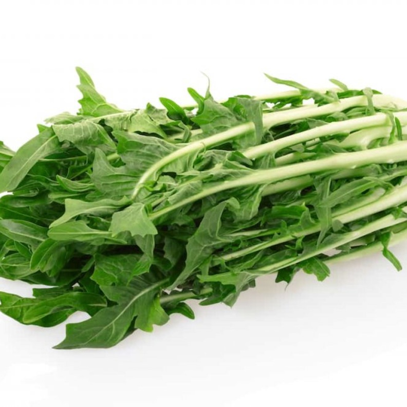  الهندباء من افضل الاعشاب الصحية لزيادة الوزن