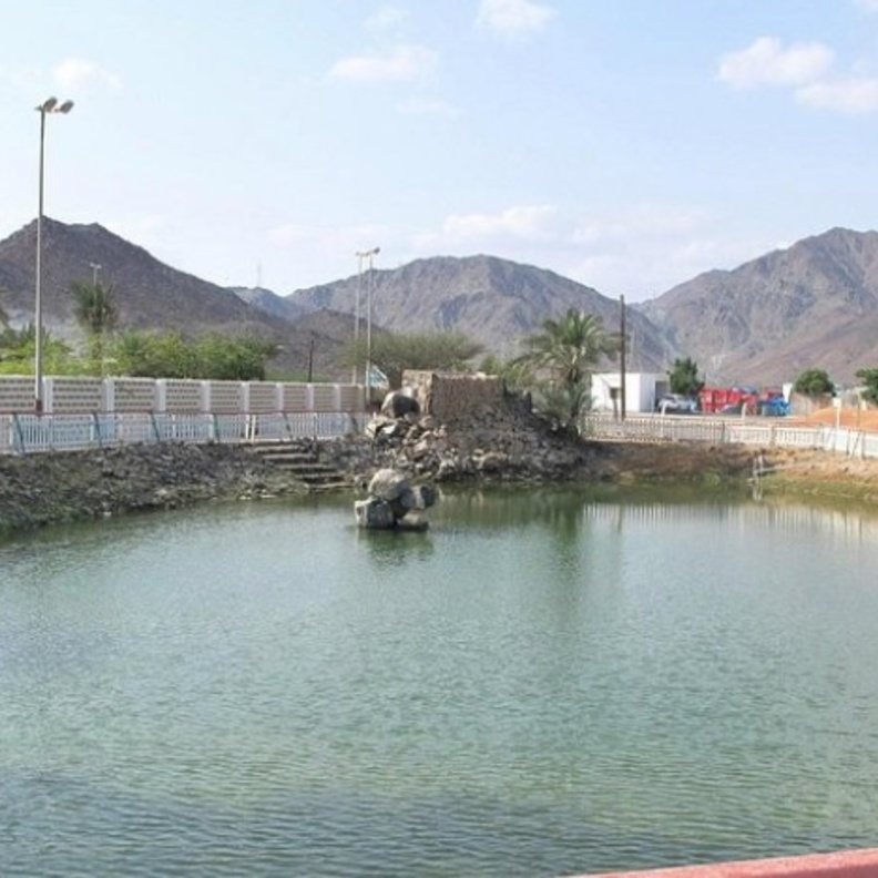 حديقة عين مضب الكبريتية.. الوجهة الأفضل للعلاج والاستجمام في الفجيرة