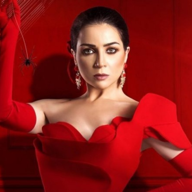 مي عز الدين