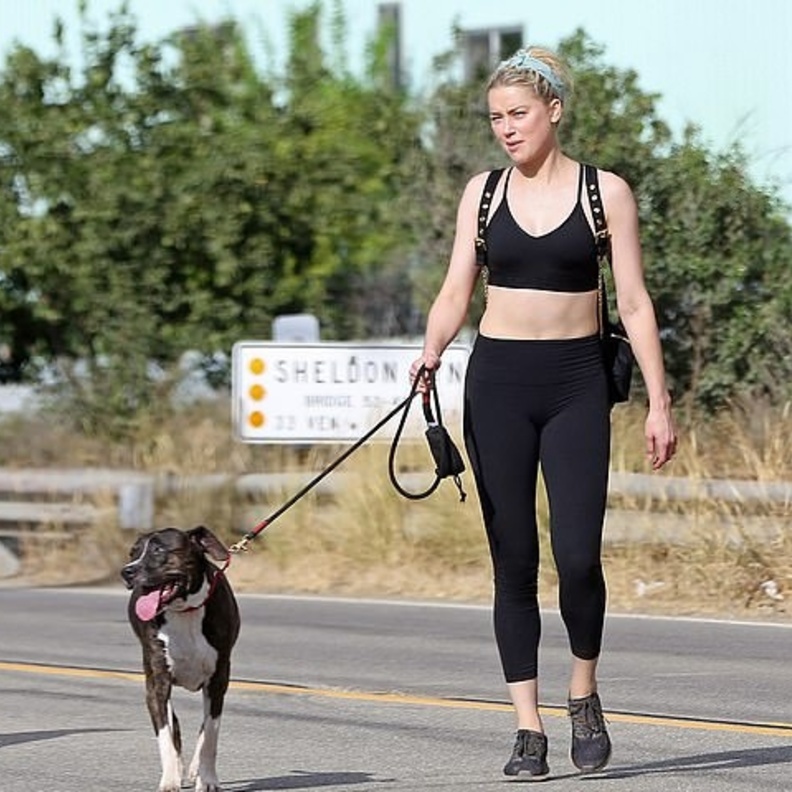 آمبر هيرد تستمتع بنزهة في لوس أنجلوس