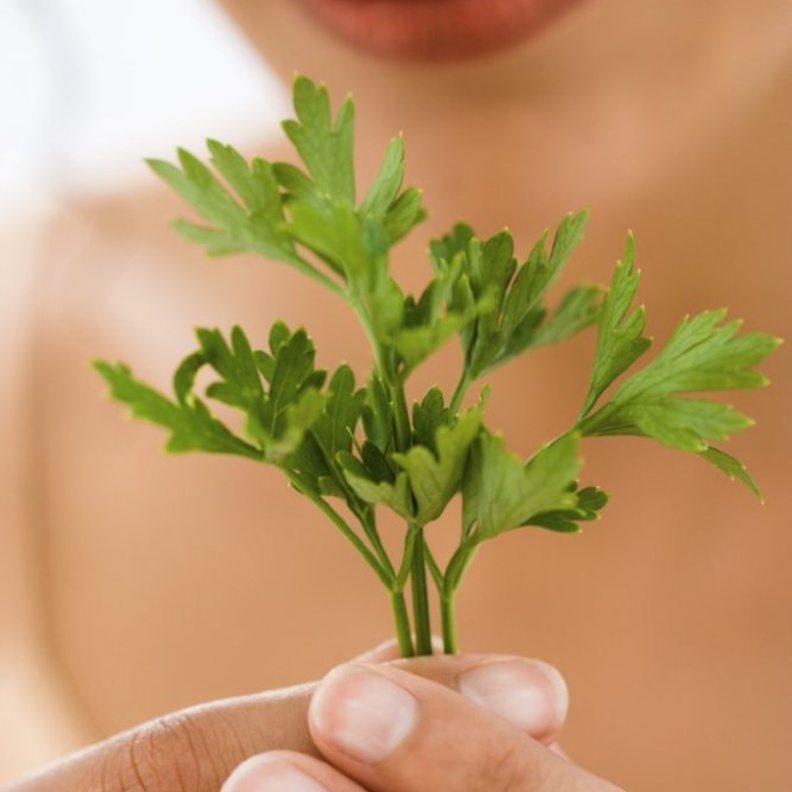 فوائد البقدونس للعروس قبل الزواج وطريقة استخدامه