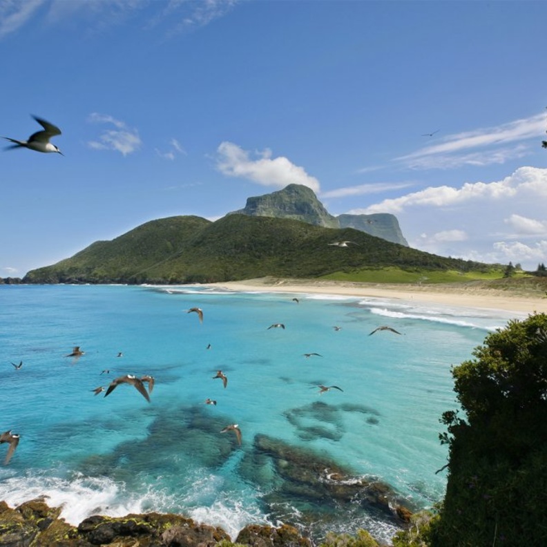 شاطئ بلينكي Blinky Beach، نيو ساوث ويلز