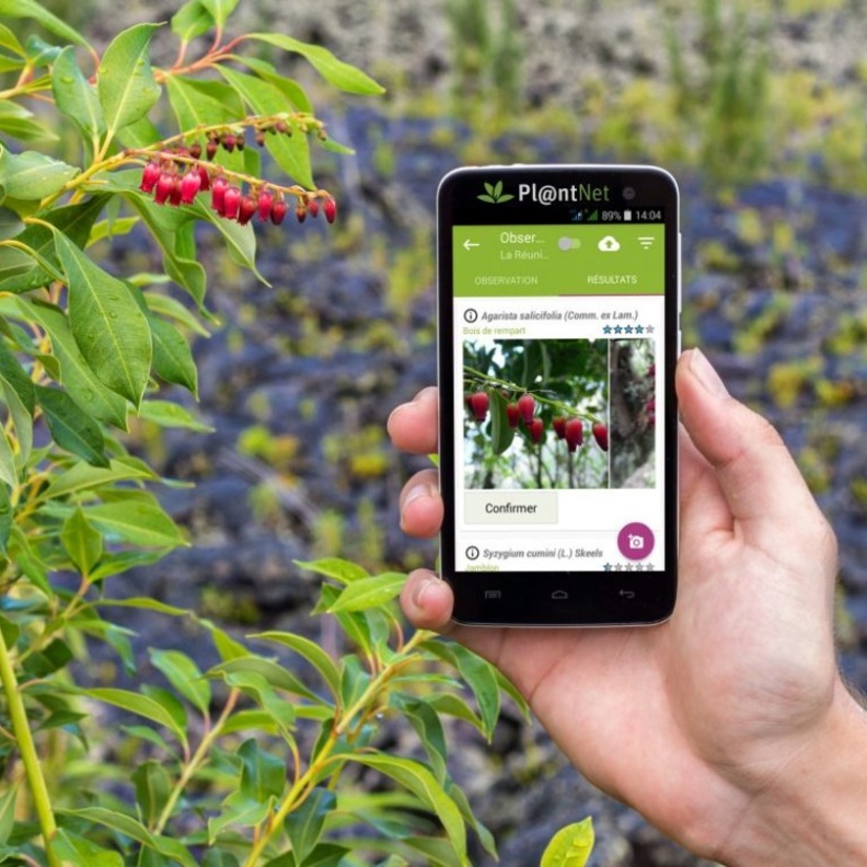 تطبيق PlantNet