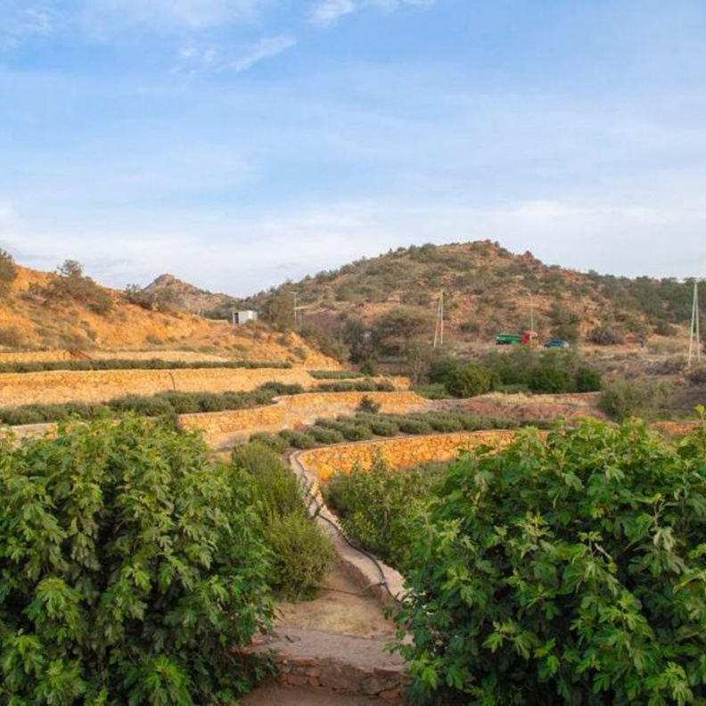 الطبيعة الخلابة تعانق السحاب في منتزه الشفا البري "الصورة من وكالة الأنباء السعودية"