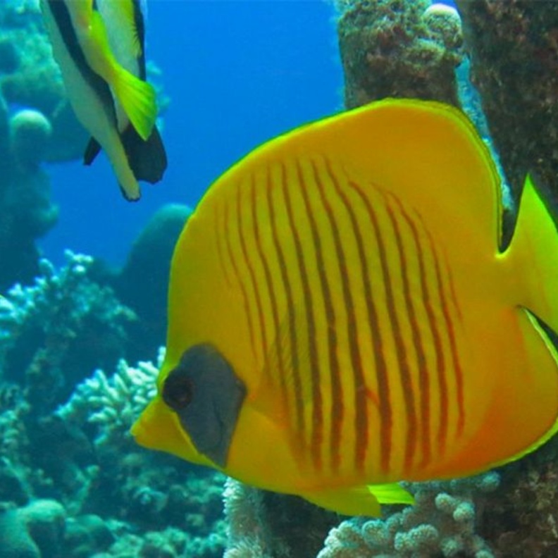 مناظر ساحرة في محافظة "حقل" -الصورة من وكالة الأنباء السعودية-