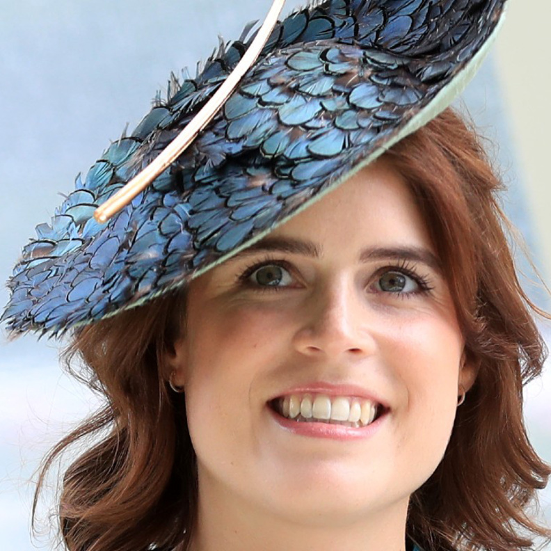 الأميرة يوجين ستحضر حفل أعياد الميلاد في مستشفيات رويال برومبتون