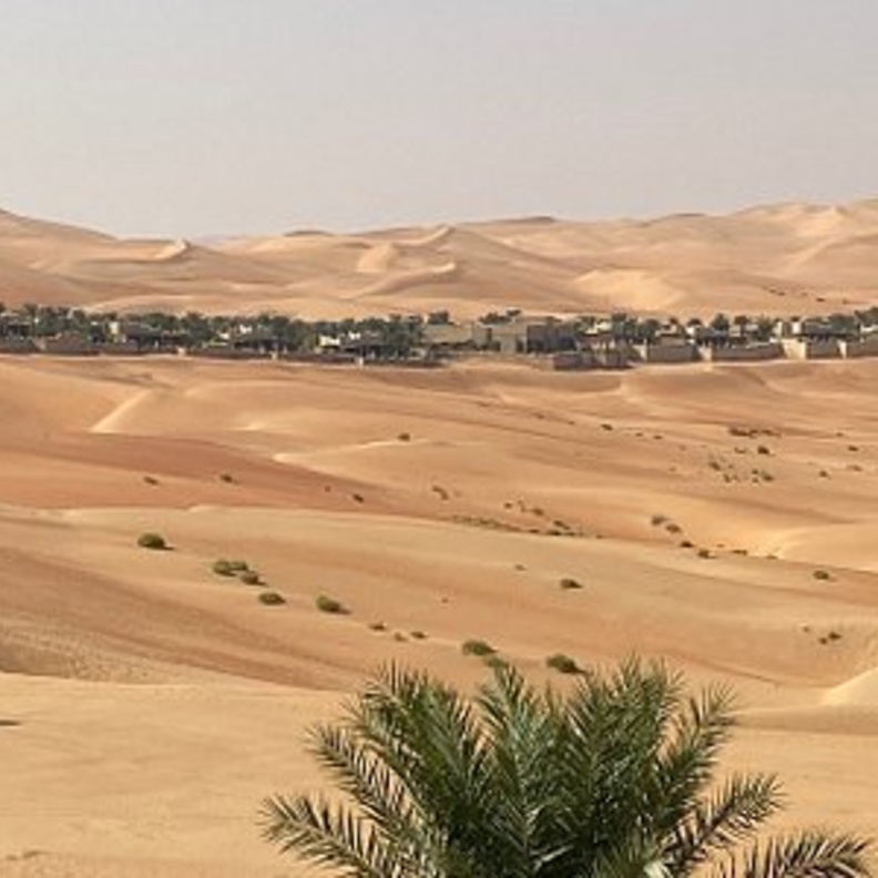 واحة ليوا الطبيعية وجهة ساحرة لعشاق الطبيعة