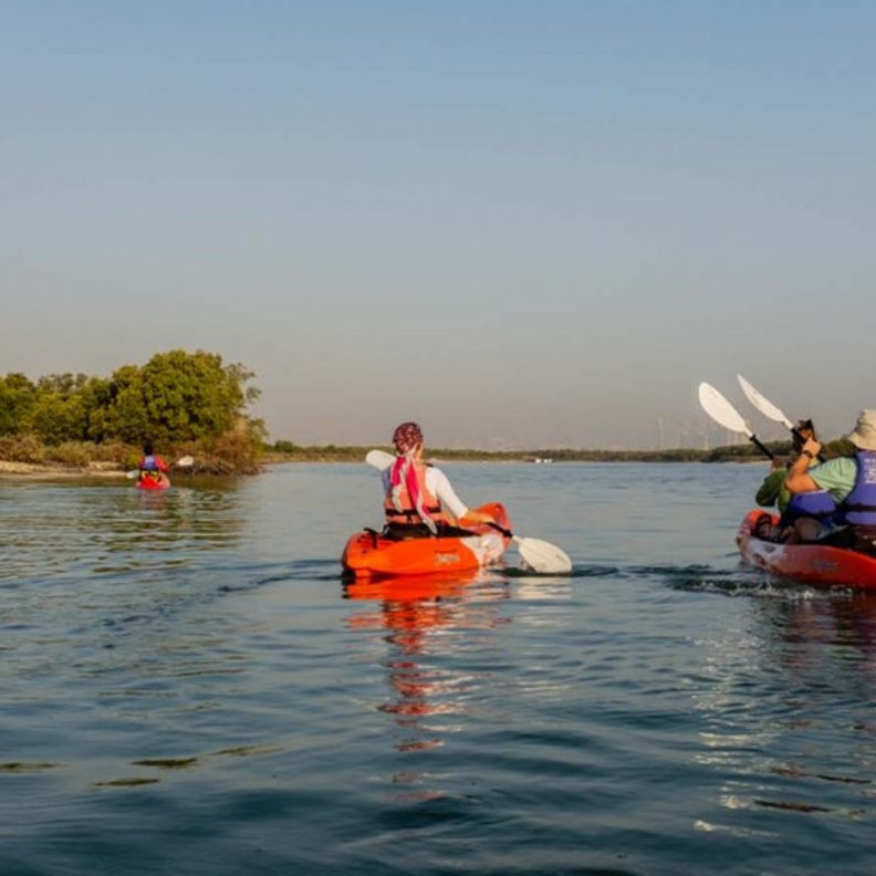  الكاياك في حديقة قرم الجبيل.. أنشطة سياحية خارجية في الإمارات