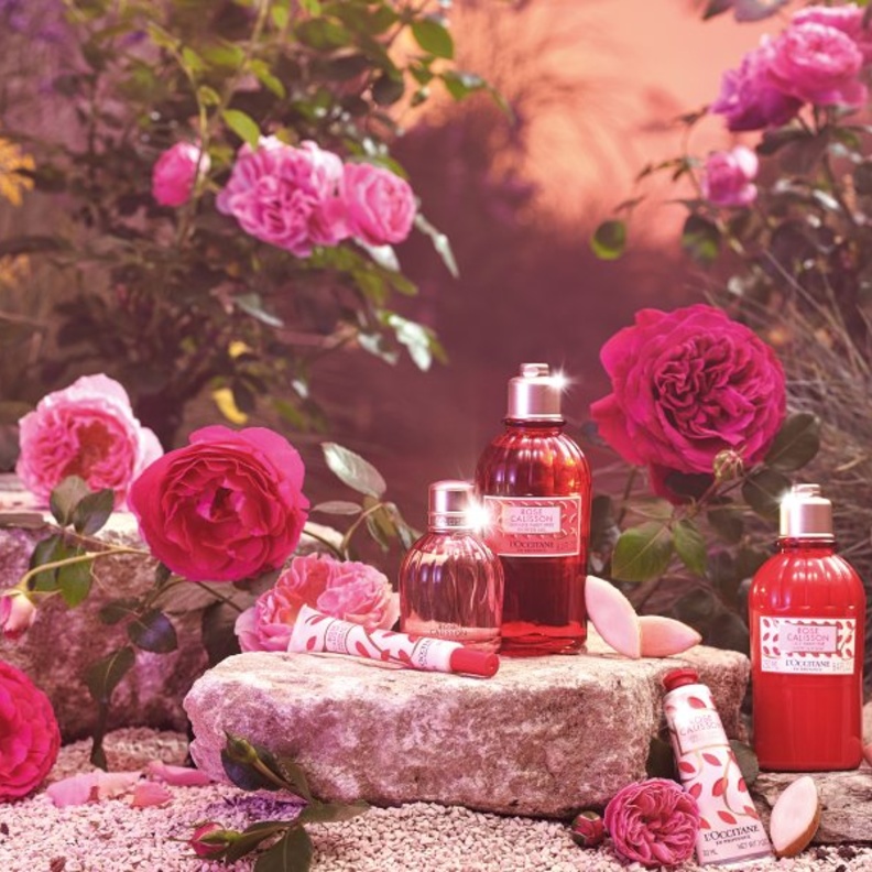 منتجات وهدايا لوكسيتان لموسم الأعياد