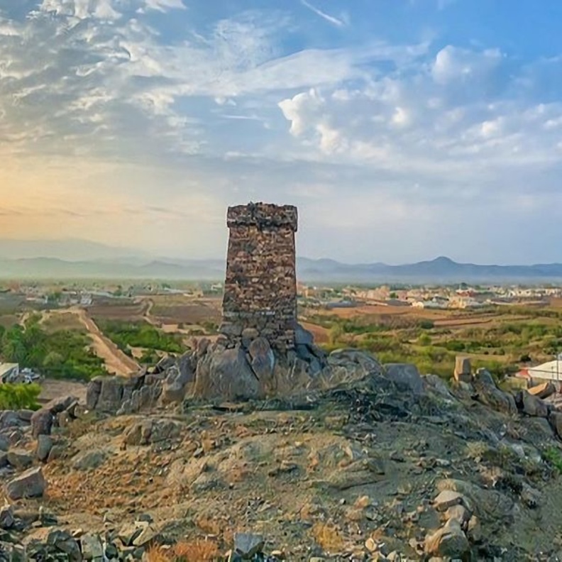  لوحة طبيعية من الورود تأسر قلوب الزوار 