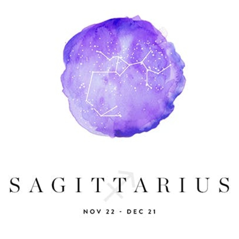 يتمتّع الزوجان المنتميان الى برج القوس بحياة زوجية هادئة