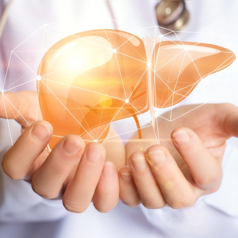 فوائد الهندباء للكبد وطريقة استخدامها