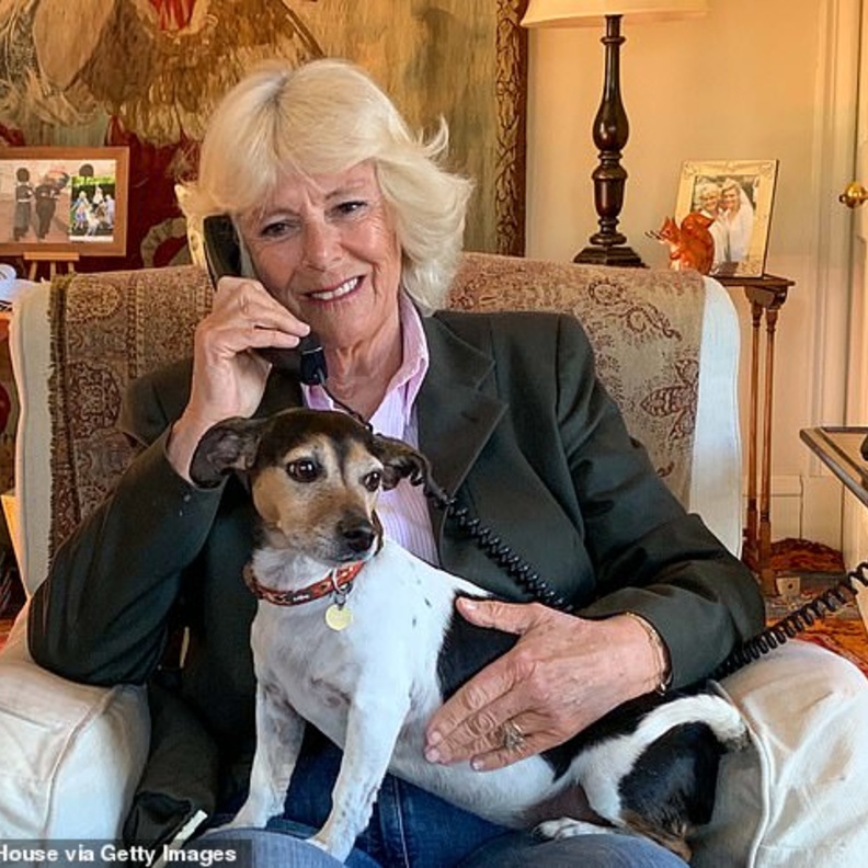 دوقة كورنوال تكتب مقال جديد عن التحديات التي تواجه العائلات في موسم الأعياد