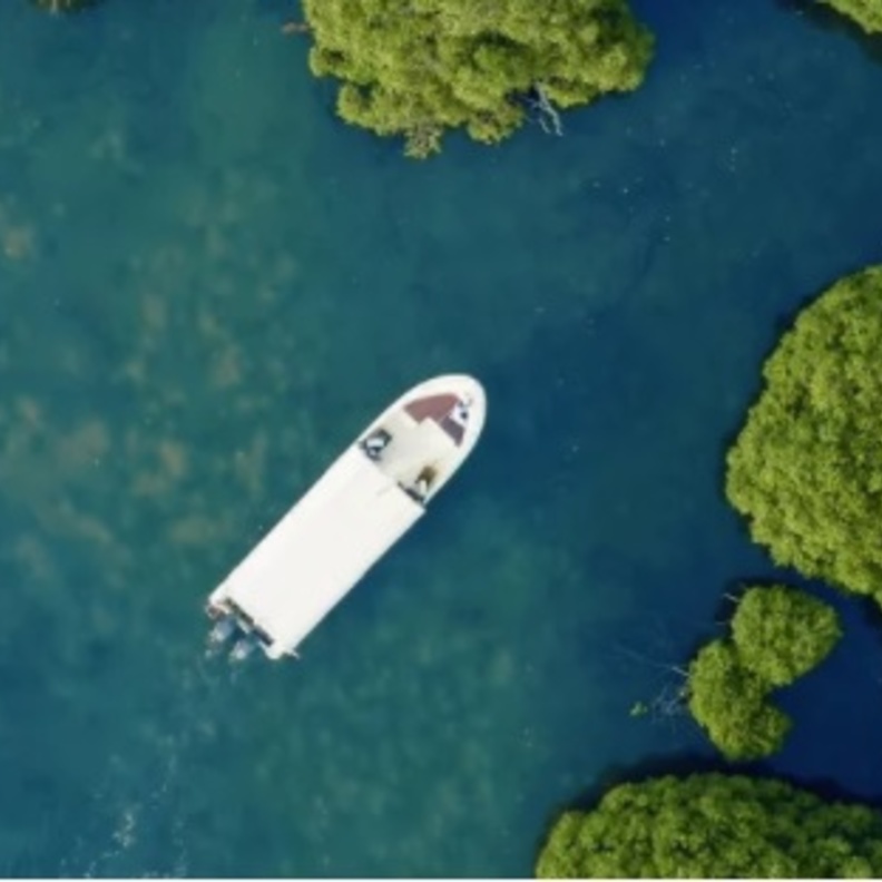 المساحات الخضراء تغطي جزر فرسان- المصدر روح السعودية