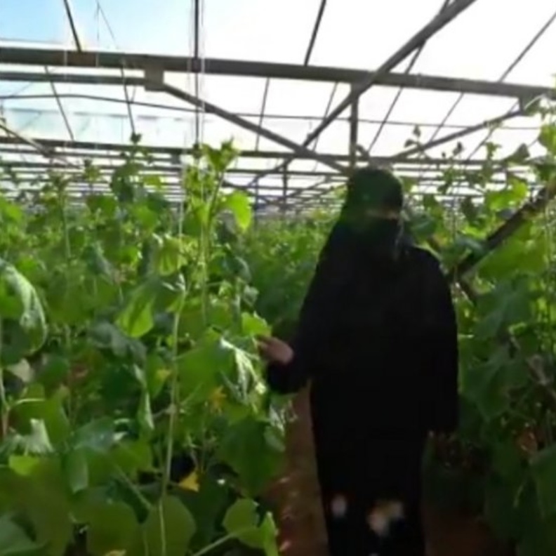  شيخة ضاري الدوسري