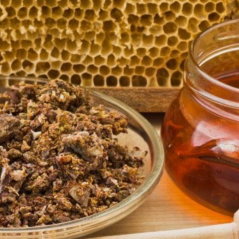  ماهو العكبر وماهي فوائده الصحية