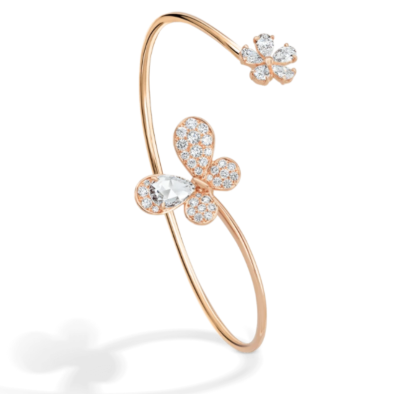  سوار من ديفيد موريس David Morris