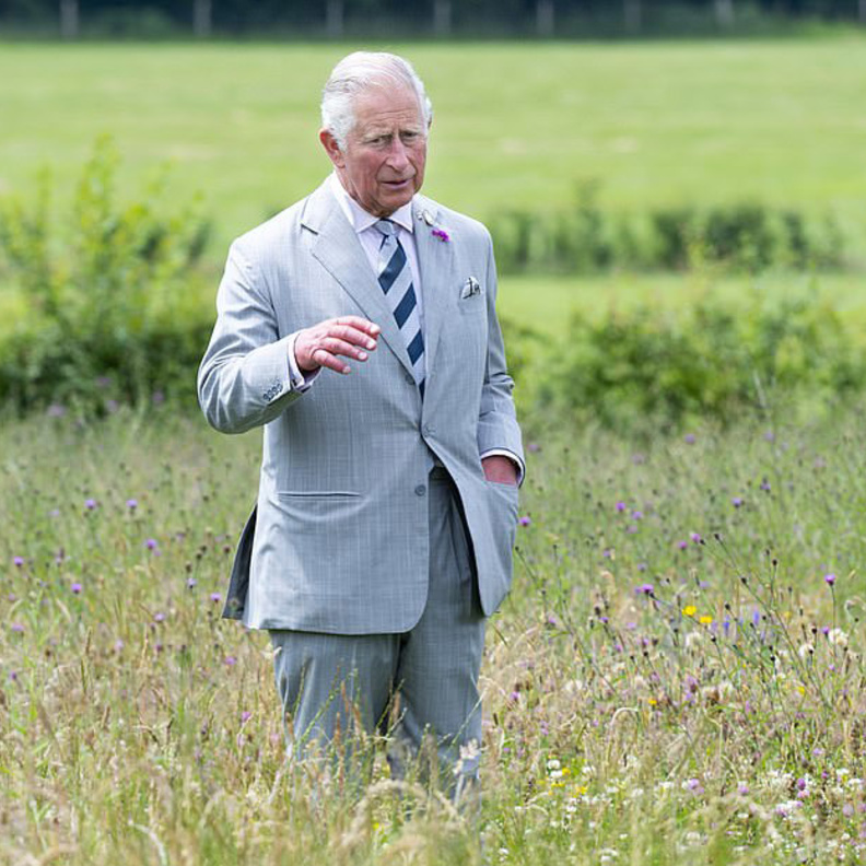 الأمير تشارلز يخطط للإعلان عن مبادرته البيئية الجديدة