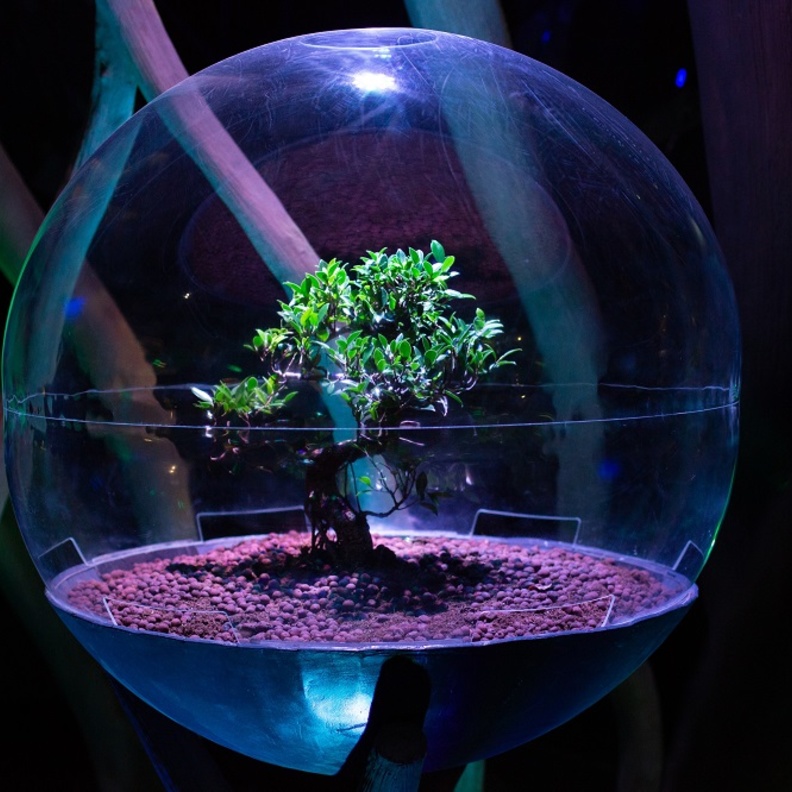  جناح تيرا في اكسبو 2020