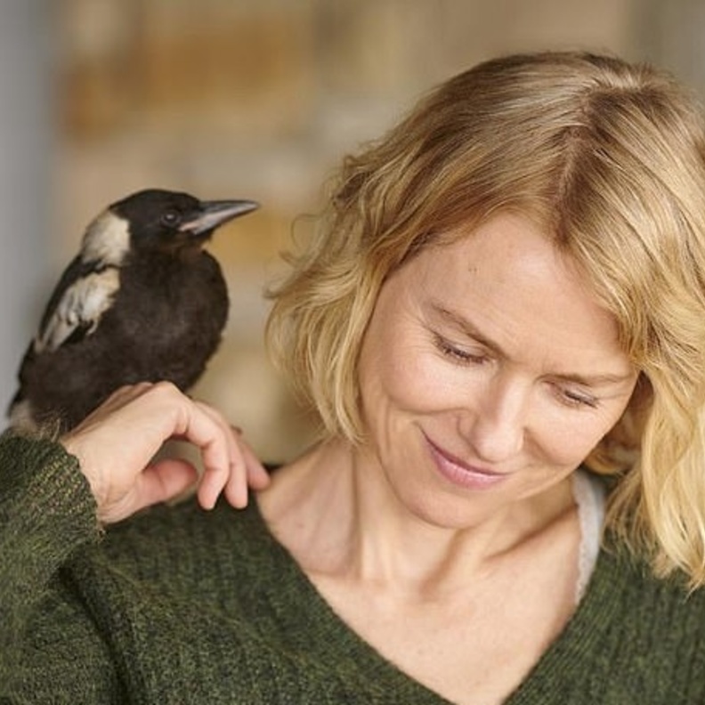 نعومي واتس في تصوير Penguin Bloom