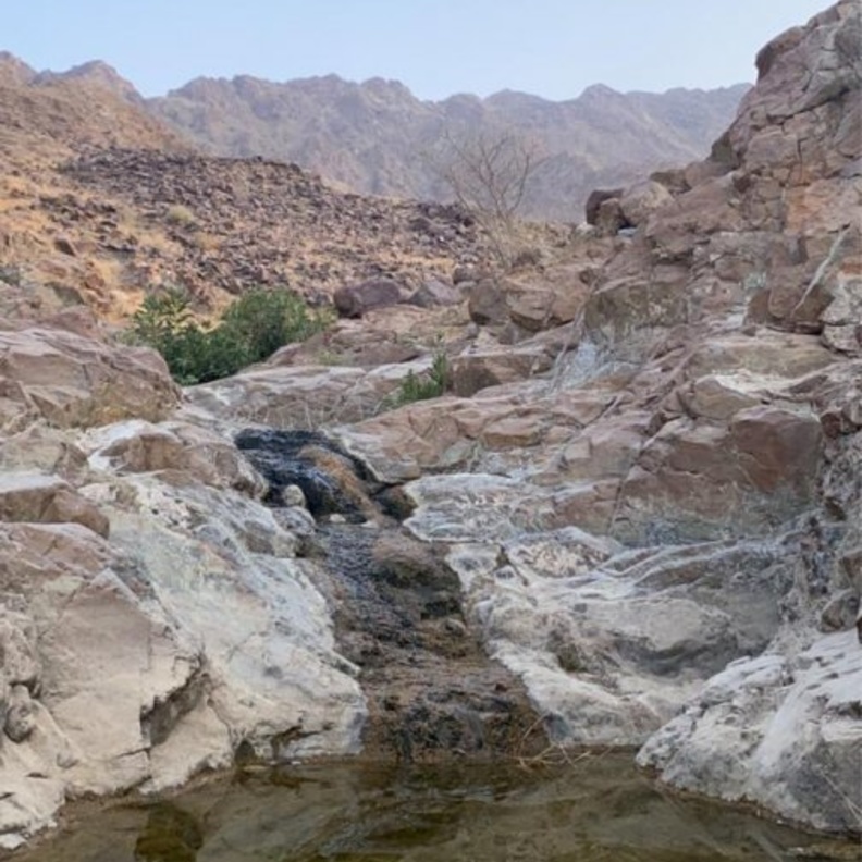 الكثير من المعادن المفيدة في عيون المياه بالفجيرة 