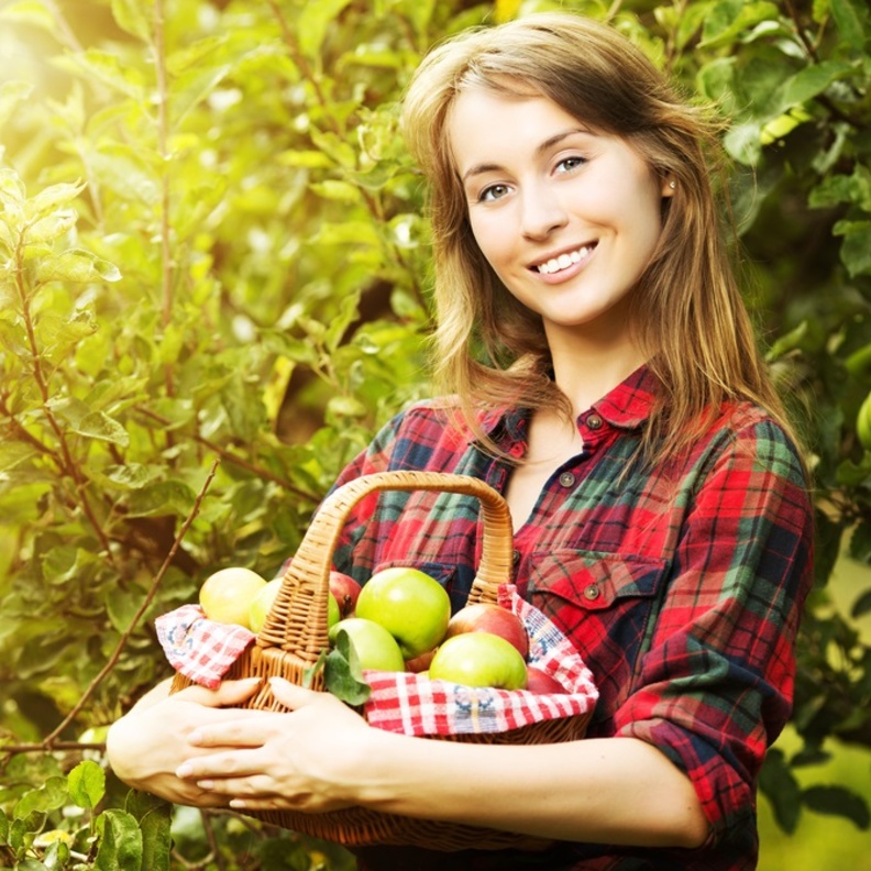 احذر أضرار كثرة تناول التفاح