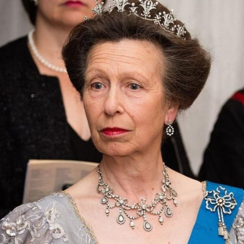 الأميرة آن تتحدى الكورونا.. بـ 148 ارتباطا رسميا في 2020‏