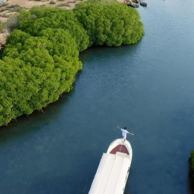 محمية جزر فرسان واحدة من الوجهات السياحية الجديدة - المصدر وكالة الأنباء السعودية